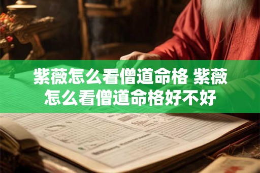 紫薇怎么看僧道命格 紫薇怎么看僧道命格好不好 紫薇怎么看僧道命格 紫薇怎么看僧道命格好不好