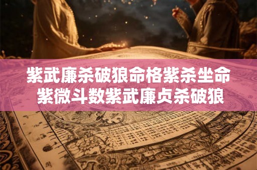 紫武廉杀破狼命格紫杀坐命 紫微斗数紫武廉贞杀破狼格局