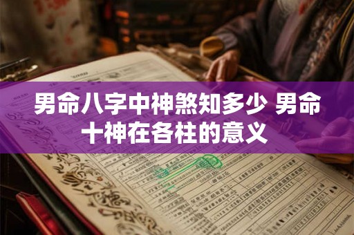 男命八字中神煞知多少 男命十神在各柱的意义 男命八字中神煞知多少 男命十神在各柱的意义