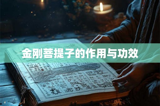 金刚菩提子的作用与功效 金刚菩提子的作用与功效