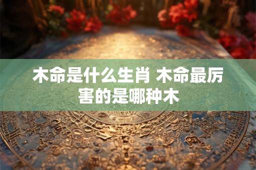 木命是什么生肖 木命最厉害的是哪种木 木命是什么生肖 木命最厉害的是哪种木