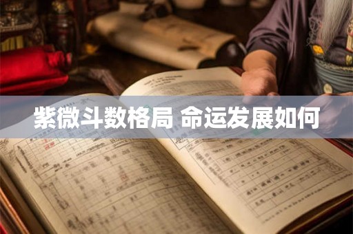 紫微斗数格局 命运发展如何 紫微斗数格局 命运发展如何
