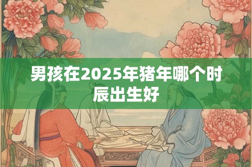 男孩在2025年猪年哪个时辰出生好 男孩在2025年猪年哪个时辰出生好