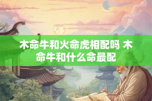 木命牛和火命虎相配吗 木命牛和什么命最配 木命牛和火命虎相配吗 木命牛和什么命最配