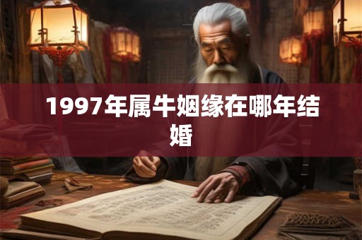 1997年属牛姻缘在哪年结婚