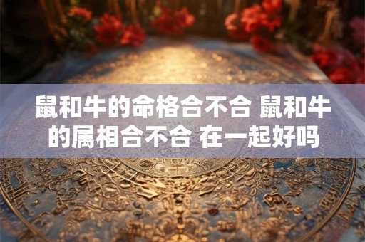 鼠和牛的命格合不合 鼠和牛的属相合不合 在一起好吗 鼠和牛的命格合不合 鼠和牛的属相合不合 在一起好吗