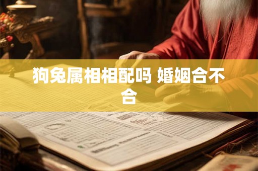 狗兔属相相配吗 婚姻合不合 狗兔属相相配吗 婚姻合不合