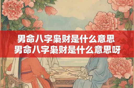 男命八字枭财是什么意思 男命八字枭财是什么意思呀 男命八字枭财是什么意思 男命八字枭财是什么意思呀