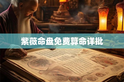 紫薇命盘免费算命详批