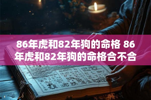 86年虎和82年狗的命格 86年虎和82年狗的命格合不合 86年虎和82年狗的命格 86年虎和82年狗的命格合不合