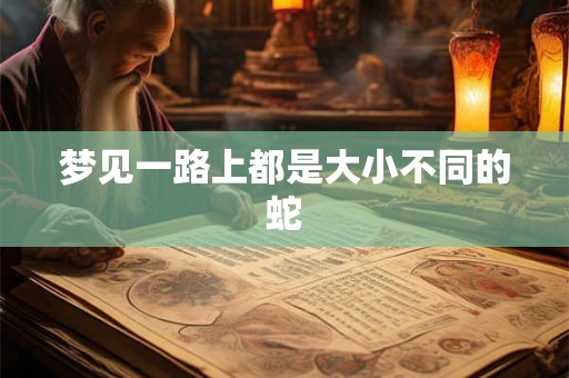 梦见一路上都是大小不同的蛇