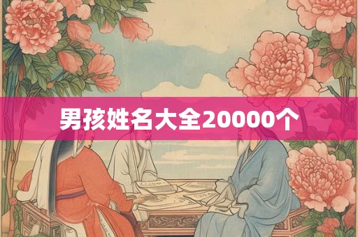 男孩姓名大全20000个