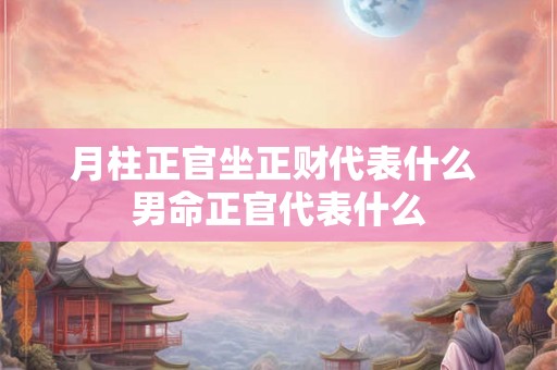 月柱正官坐正财代表什么 男命正官代表什么 月柱正官坐正财代表什么 男命正官代表什么
