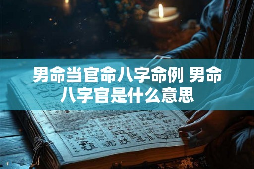 男命当官命八字命例 男命八字官是什么意思 男命当官命八字命例 男命八字官是什么意思