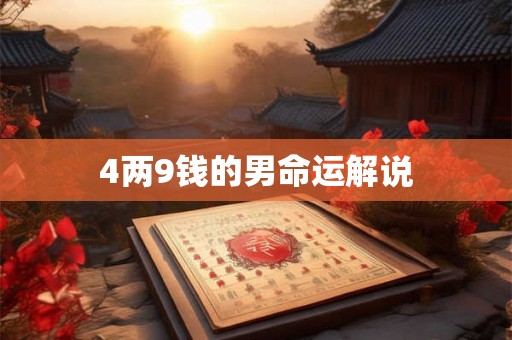 4两9钱的男命运解说 4两9钱的男命运解说