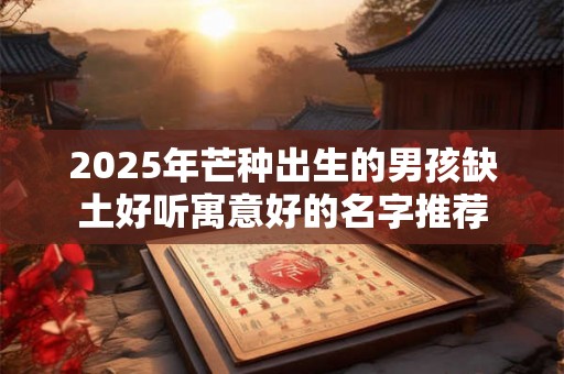 2025年芒种出生的男孩缺土好听寓意好的名字推荐 2025年芒种出生的男孩缺土好听寓意好的名字推荐