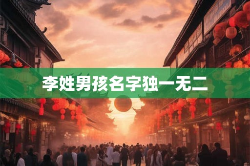李姓男孩名字独一无二 李姓男孩名字独一无二