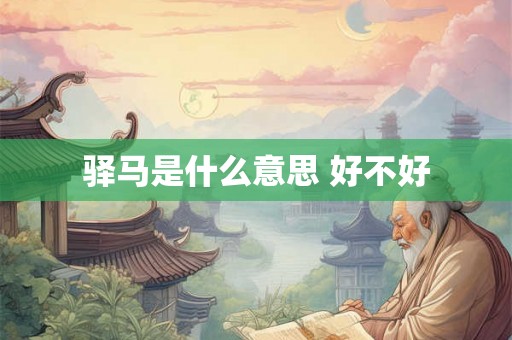 驿马是什么意思 好不好
