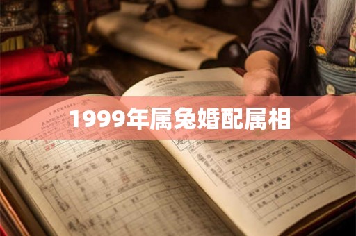 1999年属兔婚配属相 1999年属兔婚配属相