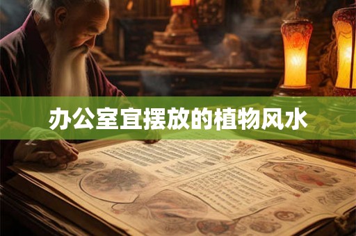 办公室宜摆放的植物风水 办公室宜摆放的植物风水