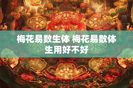 梅花易数生体 梅花易数体生用好不好 梅花易数生体 梅花易数体生用好不好