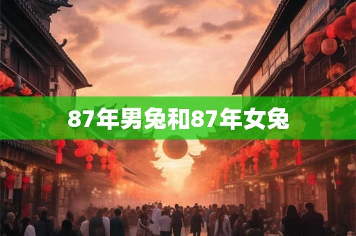 87年男兔和87年女兔 87年男兔和87年女兔