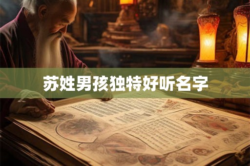 苏姓男孩独特好听名字 苏姓男孩独特好听名字