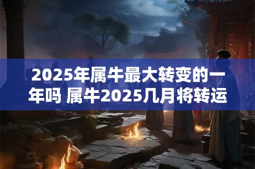 2025年属牛最大转变的一年吗 属牛2025几月将转运 2025年属牛最大转变的一年吗 属牛2025几月将转运