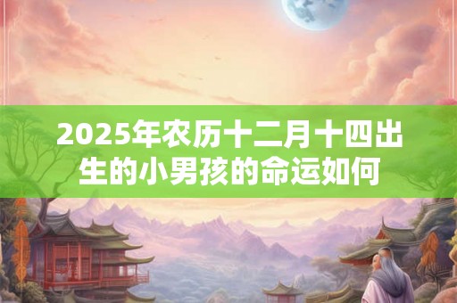 2025年农历十二月十四出生的小男孩的命运如何 2025年农历十二月十四出生的小男孩的命运如何