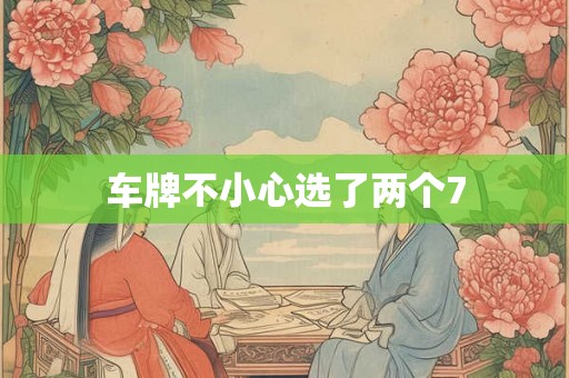 车牌不小心选了两个7 车牌不小心选了两个7