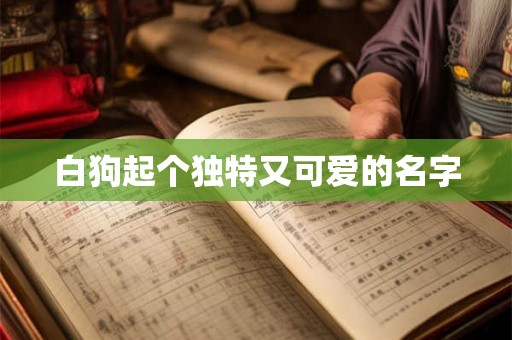 白狗起个独特又可爱的名字 白狗起个独特又可爱的名字