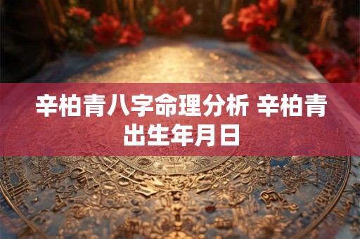 辛柏青八字命理分析 辛柏青出生年月日 辛柏青八字命理分析 辛柏青出生年月日