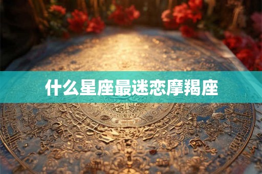 什么星座最迷恋摩羯座