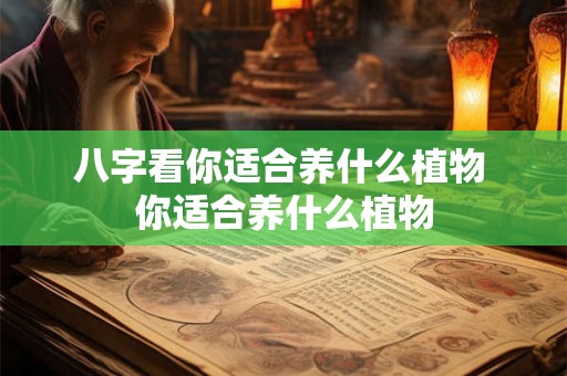 八字看你适合养什么植物 你适合养什么植物 八字看你适合养什么植物 你适合养什么植物