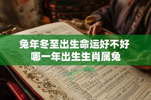兔年冬至出生命运好不好 哪一年出生生肖属兔 兔年冬至出生命运好不好 哪一年出生生肖属兔