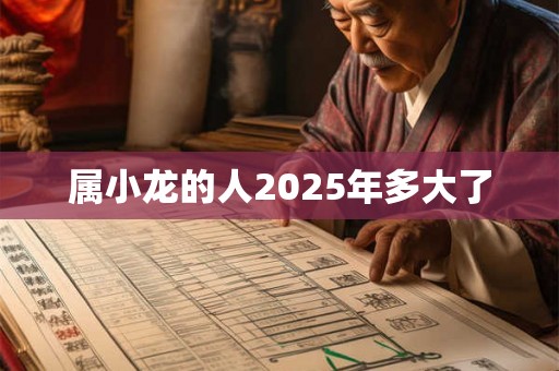 属小龙的人2025年多大了 属小龙的人2025年多大了