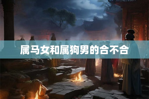 属马女和属狗男的合不合 属马女和属狗男的合不合