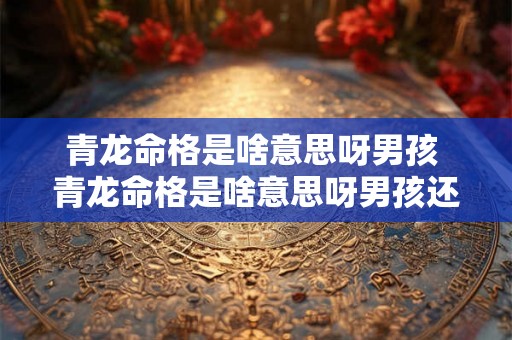 青龙命格是啥意思呀男孩 青龙命格是啥意思呀男孩还是女孩 青龙命格是啥意思呀男孩 青龙命格是啥意思呀男孩还是女孩