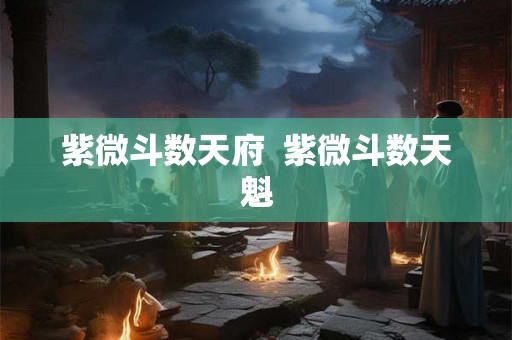 紫微斗数天府 紫微斗数天魁 紫微斗数天府 紫微斗数天魁