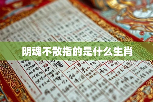 阴魂不散指的是什么生肖