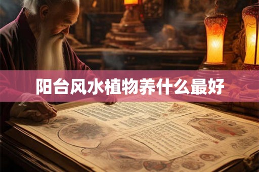 阳台风水植物养什么最好 阳台风水植物养什么最好