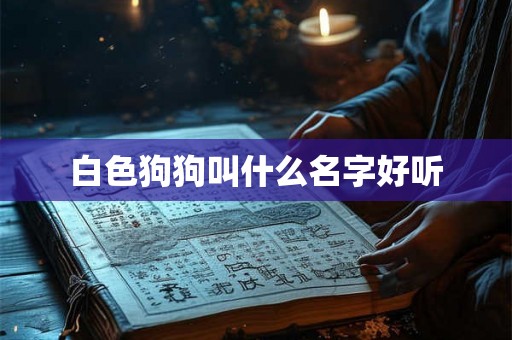 白色狗狗叫什么名字好听