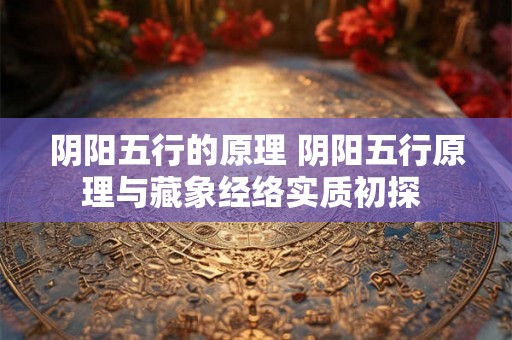 阴阳五行的原理 阴阳五行原理与藏象经络实质初探 阴阳五行的原理 阴阳五行原理与藏象经络实质初探