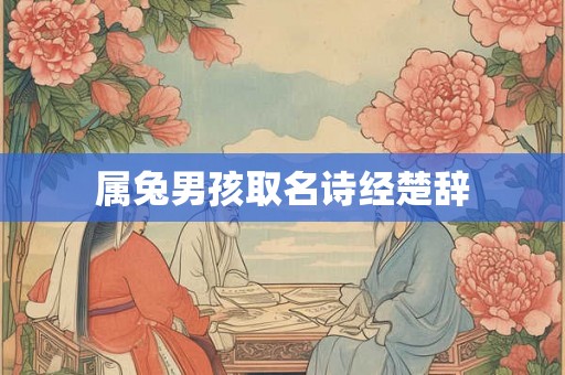 属兔男孩取名诗经楚辞 属兔男孩取名诗经楚辞
