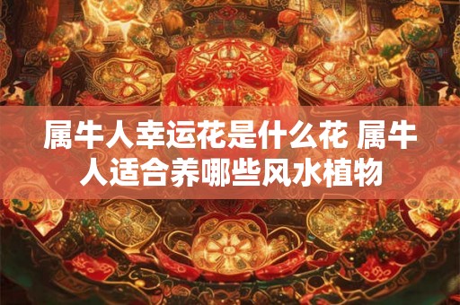 属牛人幸运花是什么花 属牛人适合养哪些风水植物 属牛人幸运花是什么花 属牛人适合养哪些风水植物