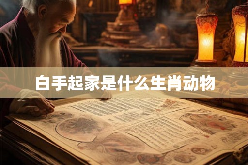 白手起家是什么生肖动物
