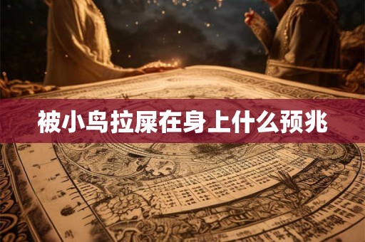 被小鸟拉屎在身上什么预兆