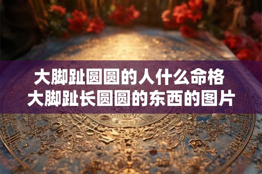 大脚趾圆圆的人什么命格 大脚趾长圆圆的东西的图片 大脚趾圆圆的人什么命格 大脚趾长圆圆的东西的图片