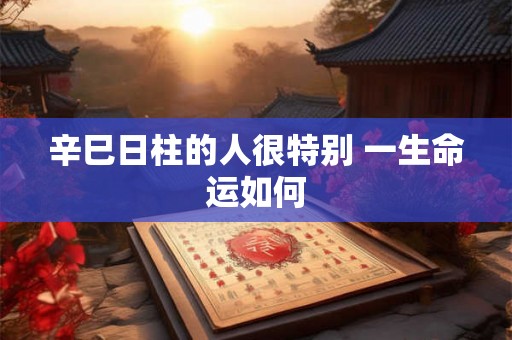 辛巳日柱的人很特别 一生命运如何 辛巳日柱的人很特别 一生命运如何