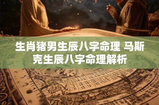 生肖猪男生辰八字命理 马斯克生辰八字命理解析 生肖猪男生辰八字命理 马斯克生辰八字命理解析